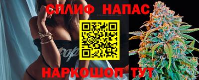 mdpv Ачхой-Мартан