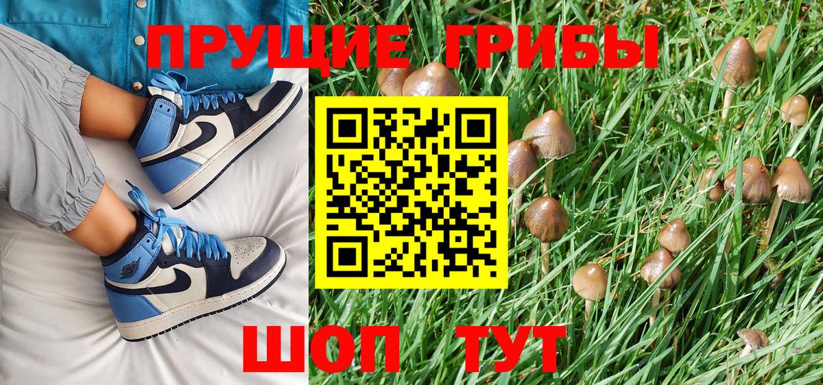 Галлюциногенные грибы Magic Shrooms  Вход с VPN  Боровичи  Галлюциногенные грибы Cubensis 