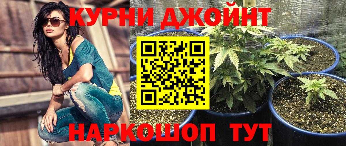 Каннабис MAZAR  Конопля тримм  Вход с VPN  Боровичи  Бошки Шишки SATIVA & INDICA 